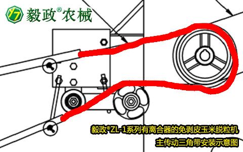 毅政牌ZL1系列有離合器的免剝皮玉米脫粒機(jī)，主傳動(dòng)三角帶正確安裝